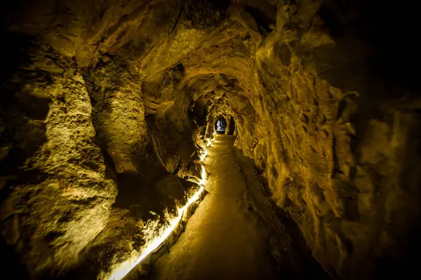 Quinta da Regaleira Tüneli 'ndeki Dimly Lit Yolu - Sintra, Portekiz