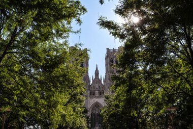 St. Michael Katedrali ve St. Gudula Çerçeveli Lush Trees - Brüksel, Belçika