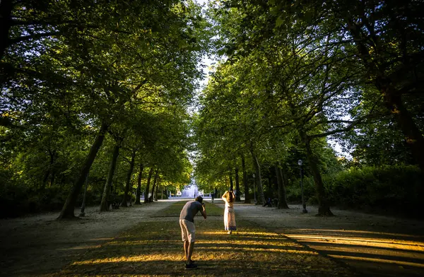 Parc de Bruxelles 'de Altın Saat Fotoğrafları - Brüksel, Belçika