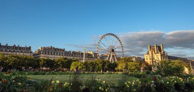 Canlı Tuileries Bahçesi Ünlü Dönme dolabı ve Louvre Müzesi - Paris, Fransa