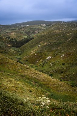 Portekiz Cabo da Roca 'dan Rolling Green Hills