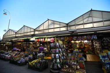 Lale soğanları sergilenen Amsterdam Çiçek Pazarı - Hollanda