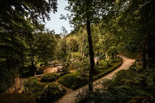 Quinta da Regaleira 'nın yemyeşil bahçeleri ve yolları - Sintra, Portekiz