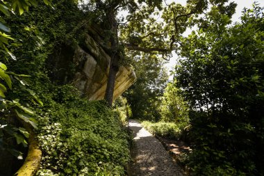 Pena Sarayı 'na giden gölgeli patika Sintra, Portekiz