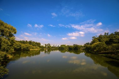 Ibirapuera Park Gölü 'ndeki yansımalar ve arka planda City Skyline - Sao Paulo, Brezilya