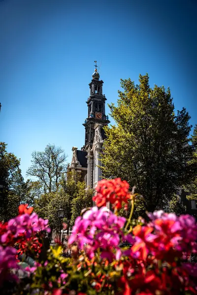 The Westerkerk Spire Summer Flowers - Amsterdam, Hollanda