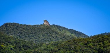Pico do Papagaio Ilha Grandes Tropikal Ormanı 'nın ortasında Rio de Janeiro Eyaleti, Brezilya