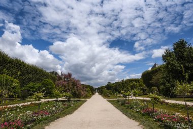 Bir yaz gününde Jardin des Plantes 'e giden güzel yol Paris, Fransa