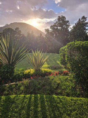 Itaipava 'da Yağmur ve Gün Işığı Güzel Bir Bahçe Üzerinde - Rio de Janeiro, Brezilya