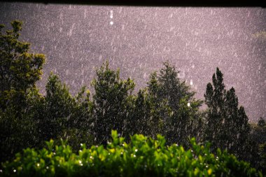 Sağanak Sağanak Yağmurweather forecast