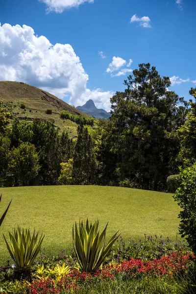 Itaipava 'da Dağ Manzaralı Tropikal Bitkiler ve Canlı Çiçekler - Rio de Janeiro, Brezilya