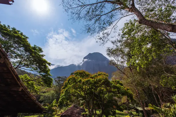 Brezilya Petropolis 'teki Ağaçlar Tarafından Çerçevelenmiş Granit Zirvesi
