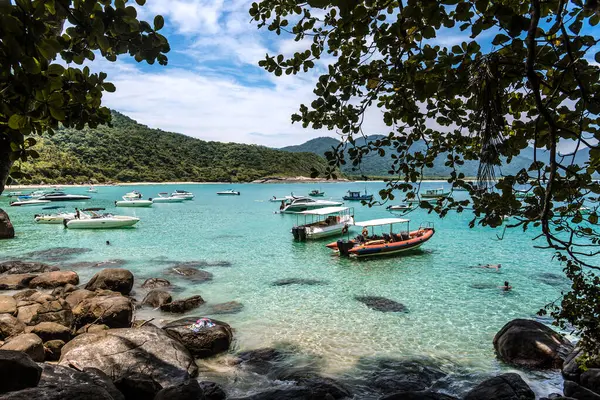 Angra dos Reis 'te Yüzücüler ve Teknelerle Tropik Körfez - Rio de Janeiro, Brezilya