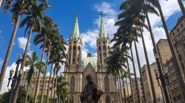 Sao Paulo Katedrali ve Praca da Se 'deki Palm Trees Brezilya