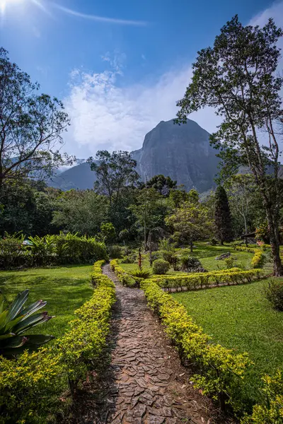 Dağ manzaralı yemyeşil bir bahçeden geçen Taş Yol Petropolis, Brezilya