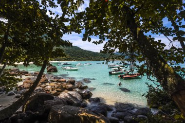 Angra dos Reis, Brezilya 'da Ağaçlar Tarafından Çerçevelenen Turkuaz Su ve Tekneler