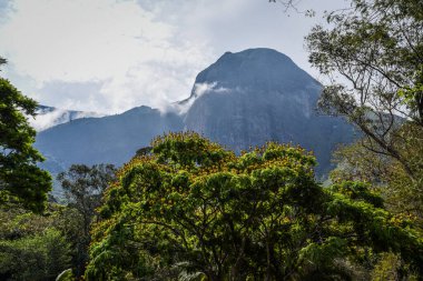 Araras, Petropolis, Brezilya 'da Atlantik Ormanı ile çevrili Granit Zirve
