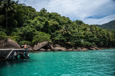 Angra dos Reis, Brezilya 'da Turkuaz Sulara Bakan Adam