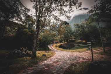 Araras 'taki Chalets' e giden Puslu Orman Yolu Petropolis, Brezilya