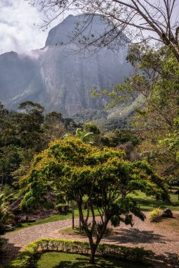 Araras 'taki Puslu Dağ ve Bahçe Yolu - Petropolis, Brezilya