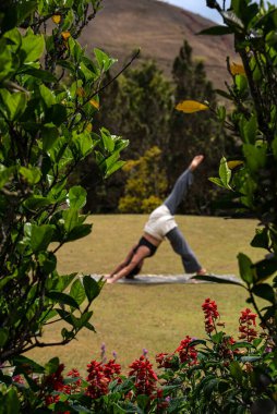 Yeşillik ve Çiçeklerle çevrili Doğada Yoga Uygulaması