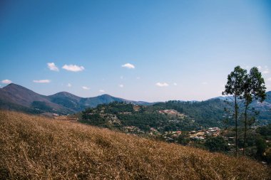 Yalnız Ağaç ve Itaipava Vadisi manzaralı Kuru Tepe - Brezilya