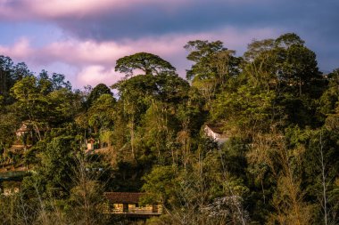 Brezilya, Itaipava 'da Pembe Günbatımı Gökyüzü Altında Evleri Olan Orman Tepesi