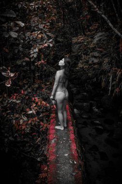 Genç Kadın Çıplak Ayakla Yosun Ormanında Seçici Renkte Yürüyor - Ubatuba, Brezilya