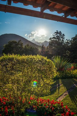 Itaipava, Brezilya 'da çalılar, çiçekler ve dağlarla aydınlatılmış manzara