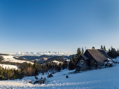 Slovakya 'nın Alçak Tatras bölgesindeki dağ kulübesi Andrejcova' da kış karlı ormanları boyunca sabah açık gökyüzü