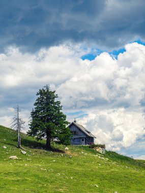 Yazın dağ kulübesinde, Carinthia 'da bir dağ yamacında, Avusturya çayır çimenleri yeşil çam ağacı bulutlu gökyüzünde