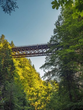 Tarvisio, İtalya, Friuli, Alpen-Adria yolundaki Orrido dello slizza geçidinde en alttan görülen eski tren köprüsü.