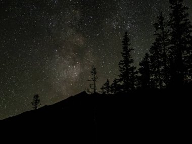 Tatra dağlarındaki çam ağacı siluetlerinin üzerindeki Samanyolu Slovakya yıldızlı gece gökyüzü
