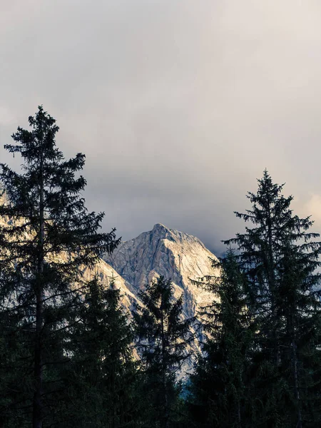 Pico Montanha Rochosa Emoldurado Atrás Pinheiros Sempre Verdes Uma Floresta — Fotografia de Stock
