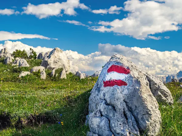 Červená Bílá Turistická Značka Značkovací Symbol Horské Stezce Skále Rakousku — Stock fotografie