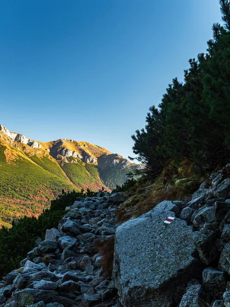 Felsiger Bergpfad Herbst Buntes Laub Mit Roter Touristenmarkierung Auf Einem — Stockfoto