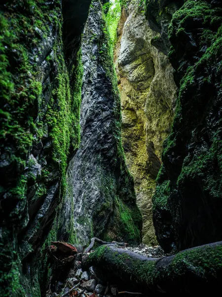 Mossy Lunatico Verde Bagnato Formazione Rocciosa Gola Canyon Luce Del — Foto Stock