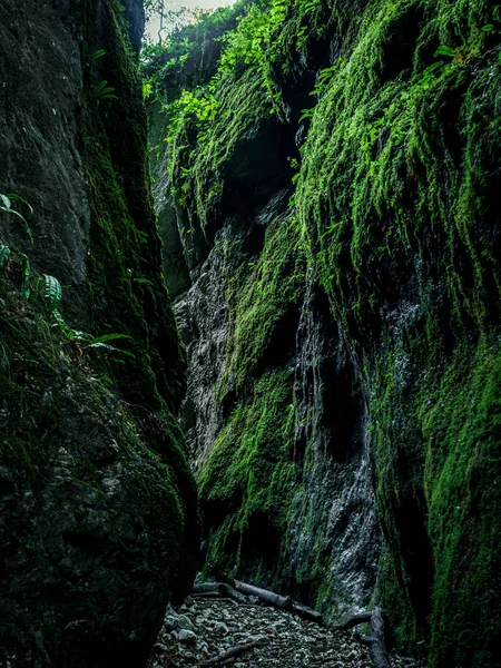 Mossy Humide Vert Formation Rocheuse Humide Gorge Canyon Lumière Soleil — Photo