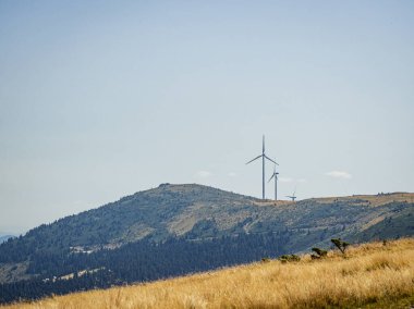 Yaz boyunca altın tepelerde rüzgar türbinleri, yeşil yenilenebilir enerji, Bihor dağlarında elektrik üretimi, Transilvanya, Romanya