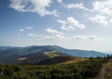 Bihor dağlarındaki Bihor Dağı (Çeşitli Bihor, Curcubata Mare) manzarası Padis, Transilvanya, Romanya, altın çam ağaçları