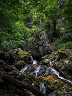 Kayalık yosunlu orman deresinde çağlayan şelale, Padis, Transilvanya, Romanya 'da uzun süreli çekim