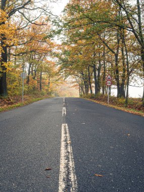 Macaristan 'da sonbahar aylarında renkli turuncu ağaçlar ve sisli atmosfer yol işaretleriyle dolu düz kırsal asfalt yol.