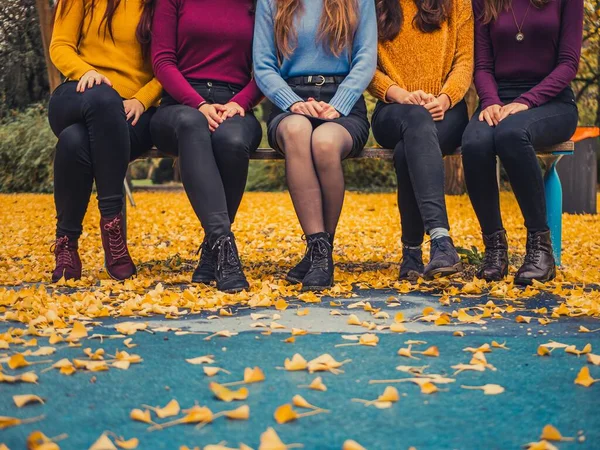 Five young woman girl friends in casual fashionable trendy colorful clothing sweater jeans sitting on a park bench in autumn colorful leaves