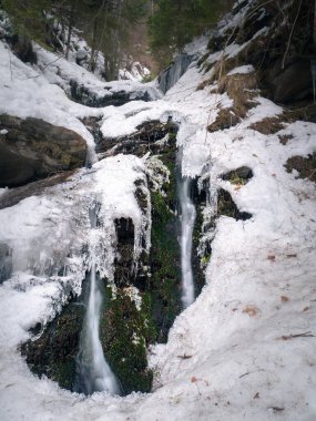Avusturya, Carinthia 'da yosunlu bir ormanda donmuş kış şelalesi, kış.