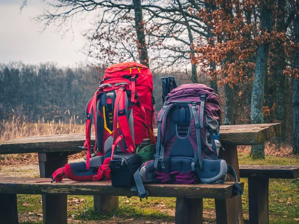 Two expedition trekking backpacks on a wooden bench in an autumn forest packed with water bottle hiking poles