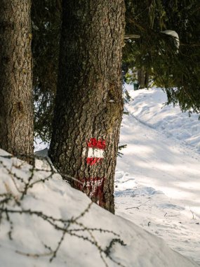 Kış boyunca ormandaki boş bir turizm yolu, Avusturya 'nın Carinthia kentinde kırmızı turist işaretli karla kaplı.