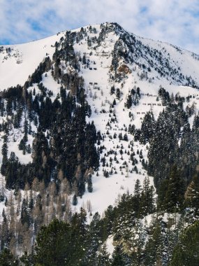 Kar, Avusturya, Carinthia, Alpler 'deki çam ormanlarında çığ muhafızlarıyla kışı kapladı.