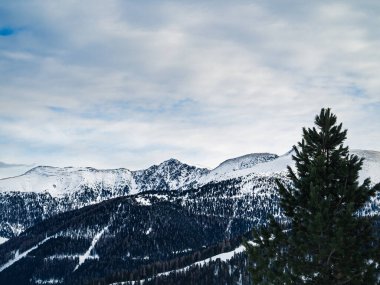 Önünde çam ağaçları olan bir dağ sırtı kar manzarası, açık gökyüzü, Carinthia, Avusturya