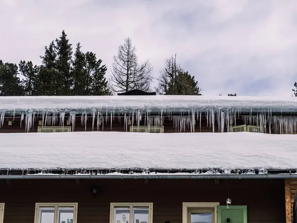 Icicles on a wooden house roof, deep snow cover, pine trees, winter, low angle view