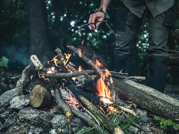 Man hands feeding putting logs firewood on a forest campfire, no face, camping wild outdoors free time holiday